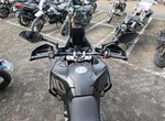 Angebot Voge DS800X Rally