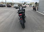 Angebot Triumph Tiger 1200 Rally PRO