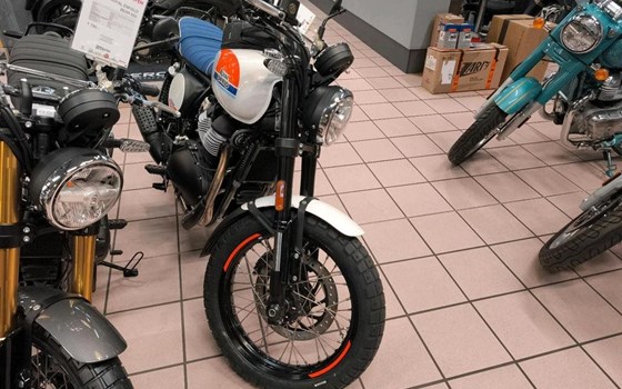 Neufahrzeug Royal Enfield Bear 650 - Bild 3