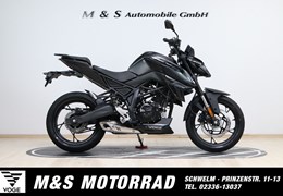 Neumotorrad Voge R125S ABS TCS