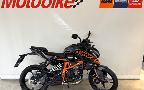 Neufahrzeug KTM 390 Duke - Bild 2