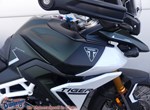 Angebot Triumph Tiger 900 Rally Pro