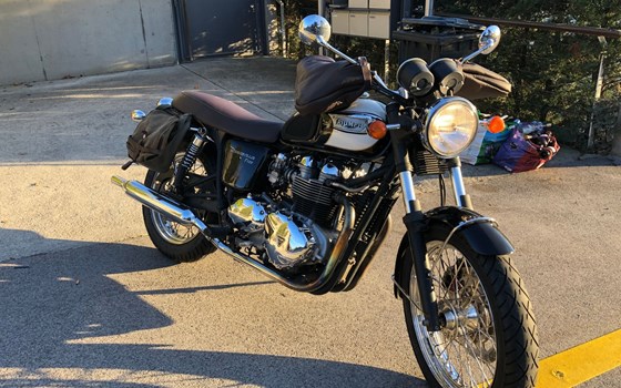 Motorrad Occasion Triumph Bonneville - Bild 1