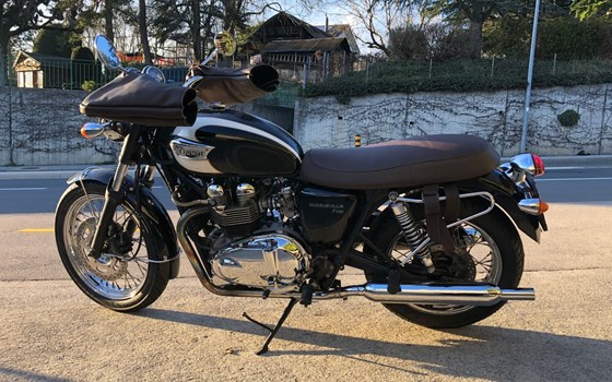 Motorrad Occasion Triumph Bonneville - Bild 3