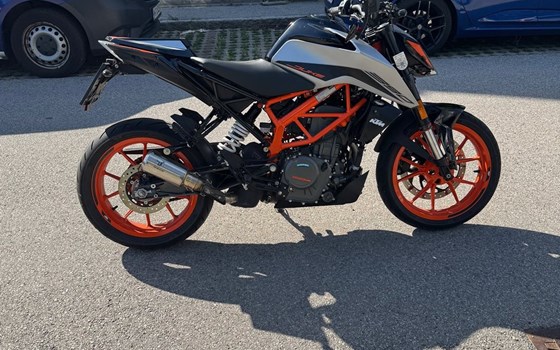Gebrauchtmotorrad KTM 390 Duke - Bild 2