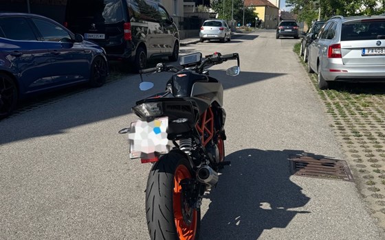Gebrauchtmotorrad KTM 390 Duke - Bild 4