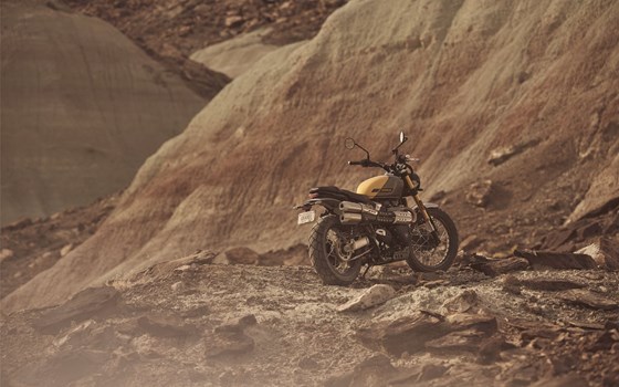 Neufahrzeug Triumph Scrambler 900 - Bild 17