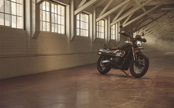 Neufahrzeug Triumph Scrambler 900 - Bild 5