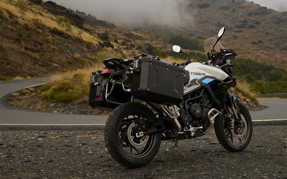 Neufahrzeug Triumph Tiger 900 Alpine Edition - Bild 9