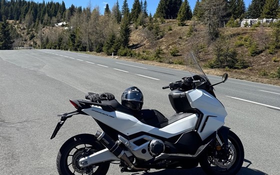 Gebrauchtmotorrad Honda Forza 750 - Bild 1