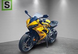 Neumotorrad Triumph Daytona 660