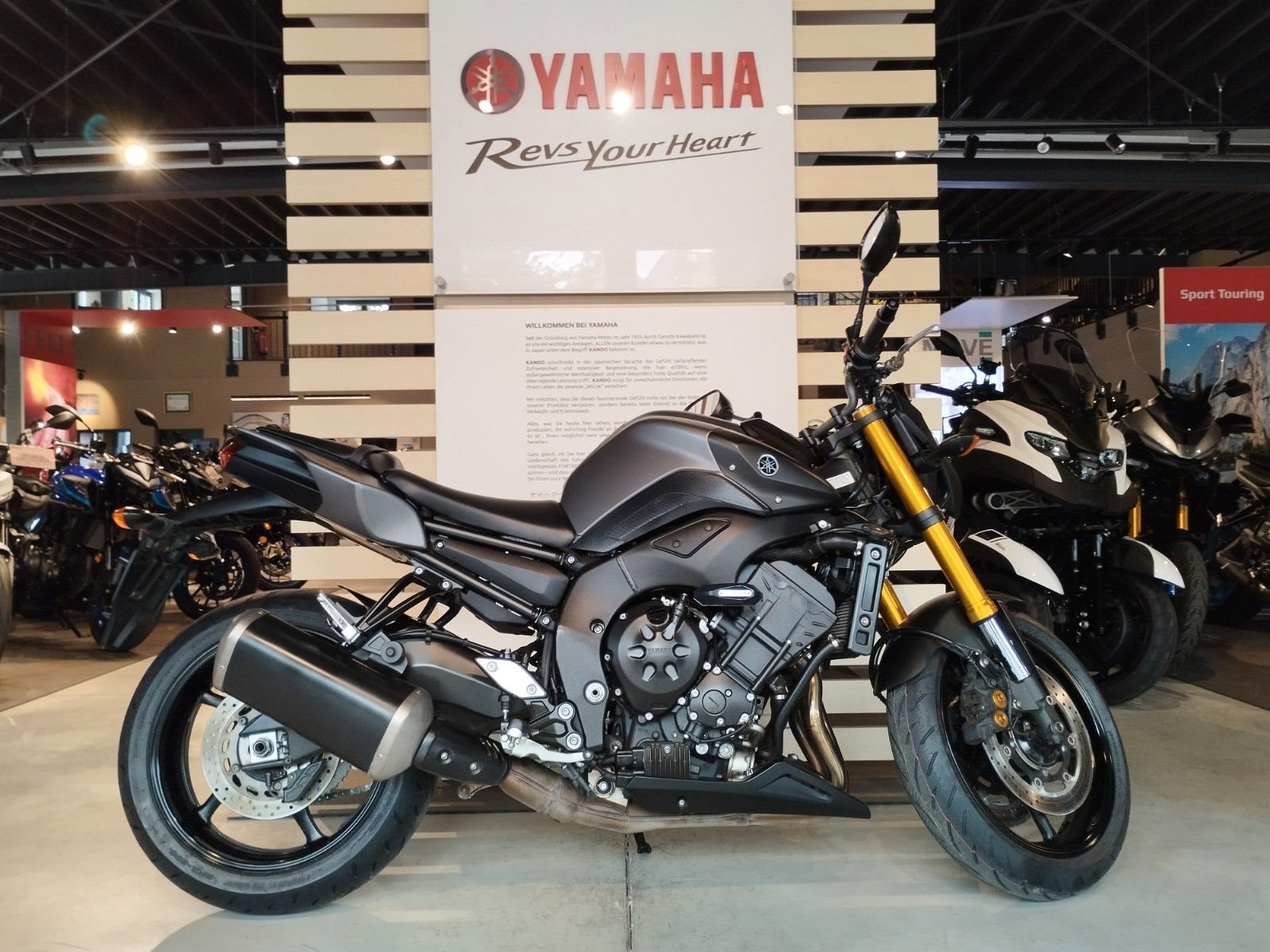 Yamaha FZ-8N