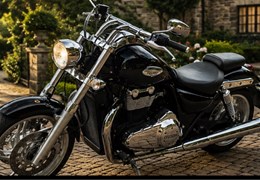 Gebrauchte Triumph Thunderbird