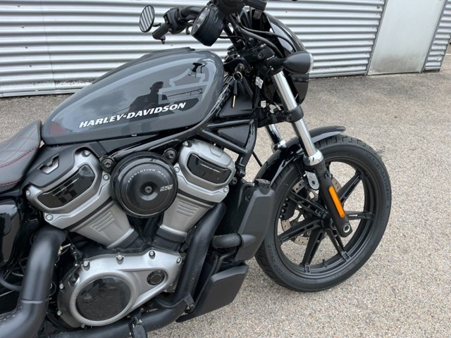 Harley-Davidson Nightster (grau) - Bild 3