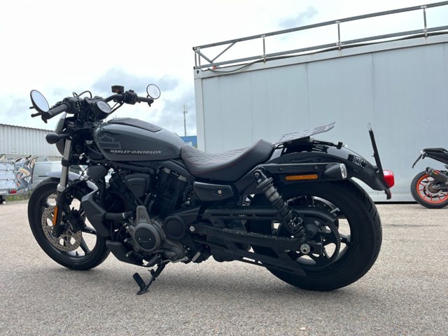 Harley-Davidson Nightster (grau) - Bild 9