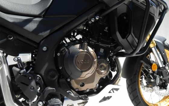 Neufahrzeug Voge DS625X - Bild 14