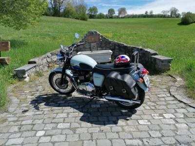 Motorrad Occasion Triumph Bonneville - Bild 7