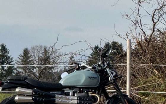 Gebrauchtmotorrad Triumph Street Scrambler - Bild 3