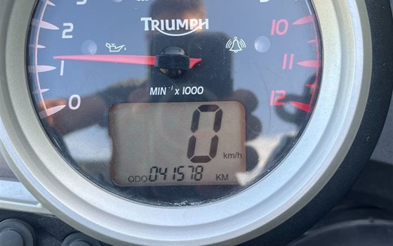 Motorrad Occasion Triumph Tiger 1050 - Bild 4