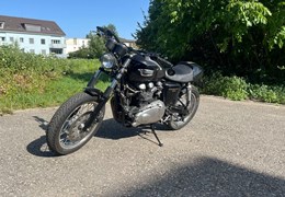 Occasion Triumph Thruxton