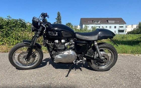 Motorrad Occasion Triumph Thruxton - Bild 2