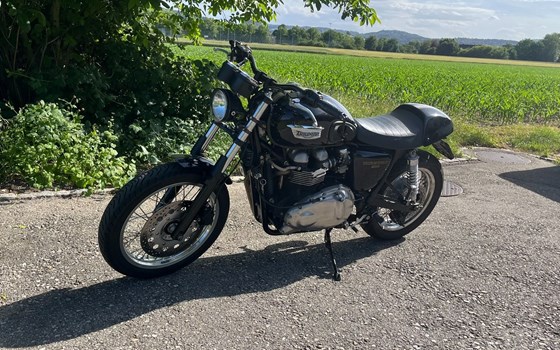 Motorrad Occasion Triumph Thruxton - Bild 3
