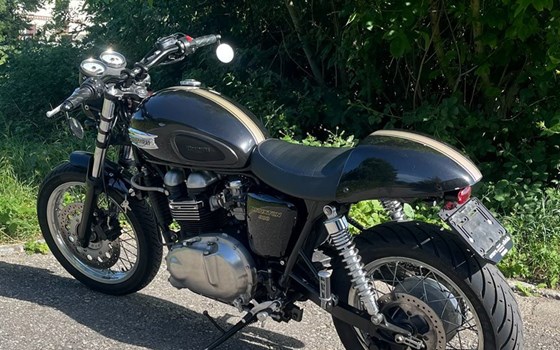 Motorrad Occasion Triumph Thruxton - Bild 6