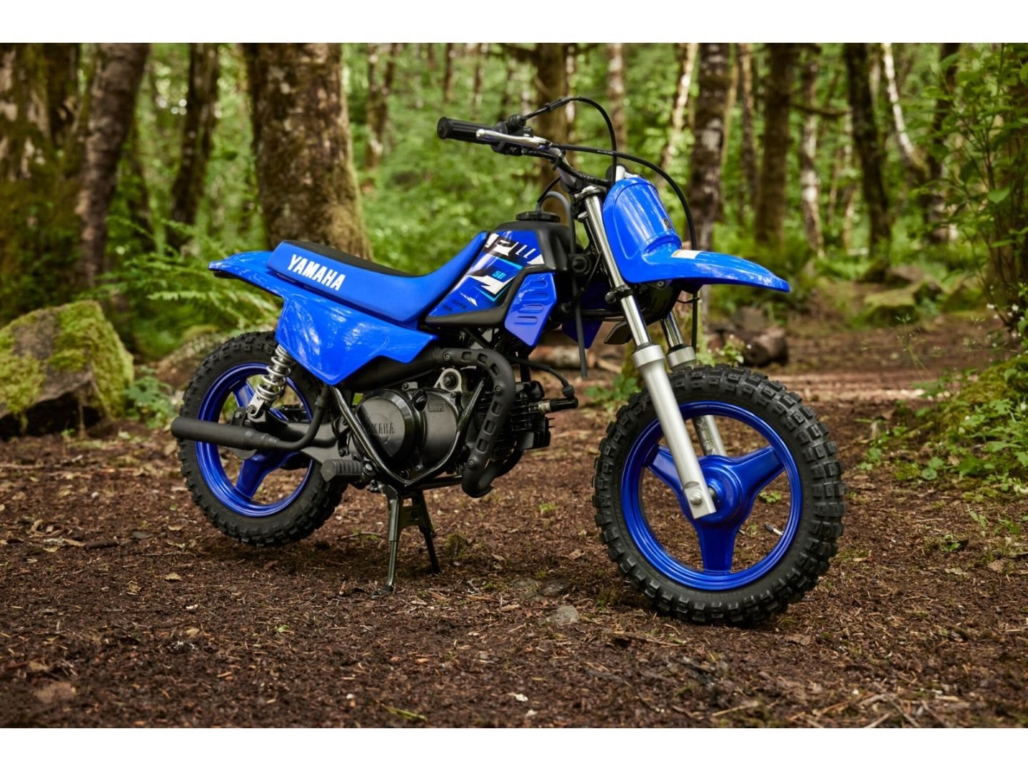 Yamaha PW50