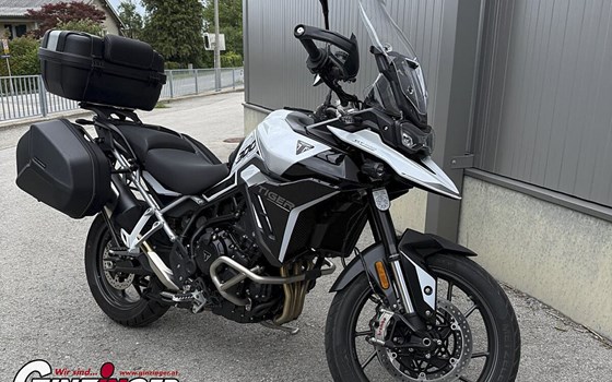 Gebrauchtmotorrad Triumph Tiger 900 GT Pro - Bild 3