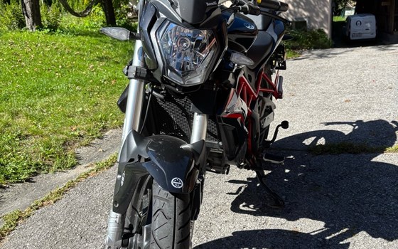 Gebrauchtmotorrad Benelli BN 125 - Bild 8