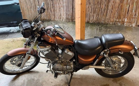 Gebrauchtmotorrad Yamaha XV 500 S Virago - Bild 6