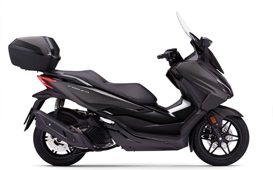 Neufahrzeug Honda Forza 125 - Bild 3