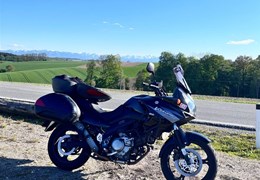 Gebrauchte Suzuki V-Strom 650