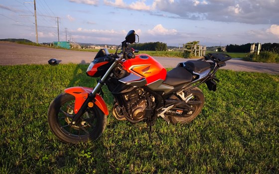 Motorrad Occasion Honda CB500F - Bild 4