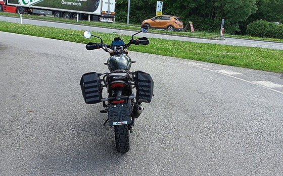 Gebrauchtmotorrad Triumph Scrambler 400 X - Bild 3