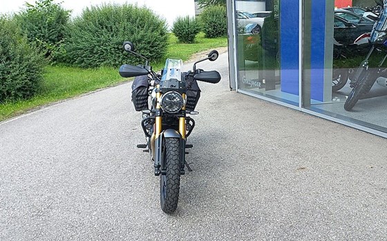 Gebrauchtmotorrad Triumph Scrambler 400 X - Bild 4