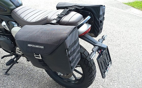 Gebrauchtmotorrad Triumph Scrambler 400 X - Bild 6
