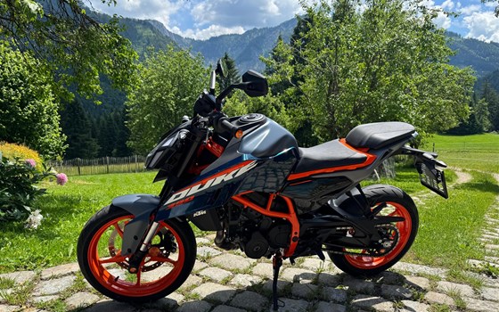 Gebrauchtmotorrad KTM 390 Duke - Bild 4