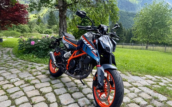 Gebrauchtmotorrad KTM 390 Duke - Bild 2