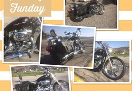 Occasion Harley-Davidson Sportster XL 1200 C 110th Anniversary