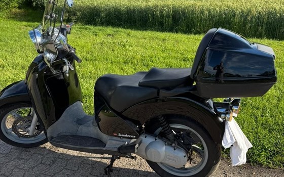 Gebrauchtmotorrad Aprilia Scarabeo 150 - Bild 3