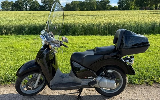 Gebrauchtmotorrad Aprilia Scarabeo 150 - Bild 5