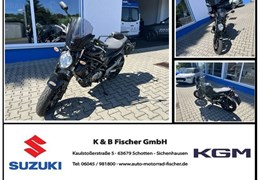 Gebrauchte Suzuki SFV 650 Gladius