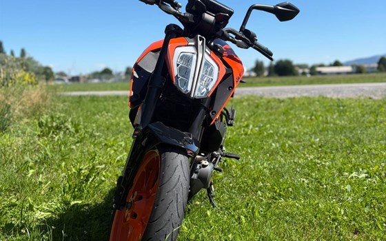 Gebrauchtmotorrad KTM 390 Duke - Bild 1