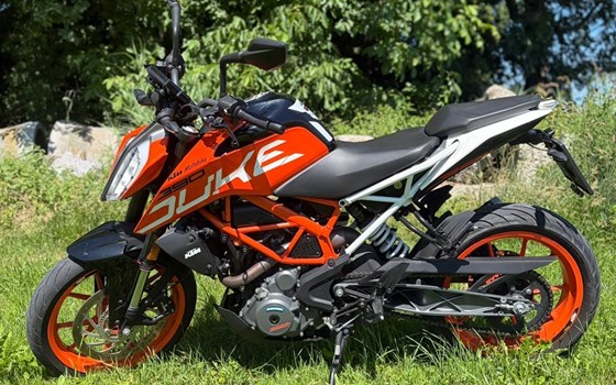 Gebrauchtmotorrad KTM 390 Duke - Bild 2