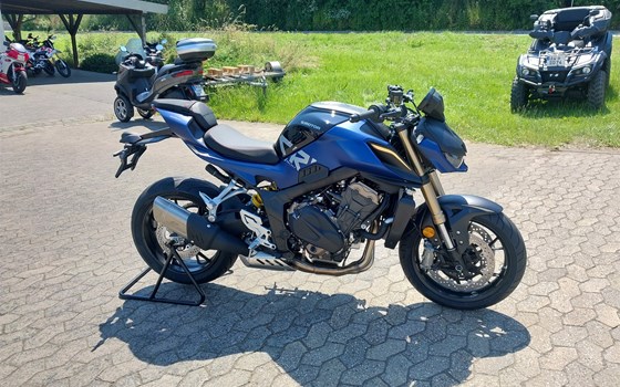 Neufahrzeug QJ Motor SRK 800 - Bild 2