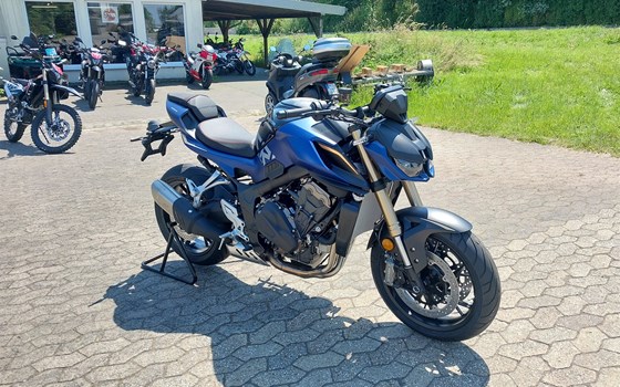 Neufahrzeug QJ Motor SRK 800 - Bild 1