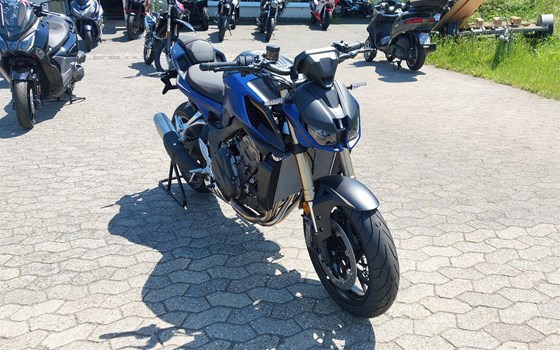 Neufahrzeug QJ Motor SRK 800 - Bild 4