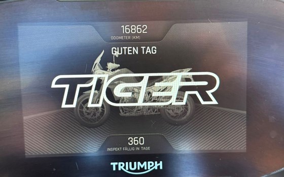 Gebrauchtmotorrad Triumph Tiger 900 GT Pro - Bild 22