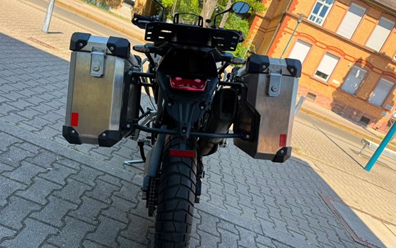 Gebrauchtmotorrad Triumph Tiger 900 GT Pro - Bild 6